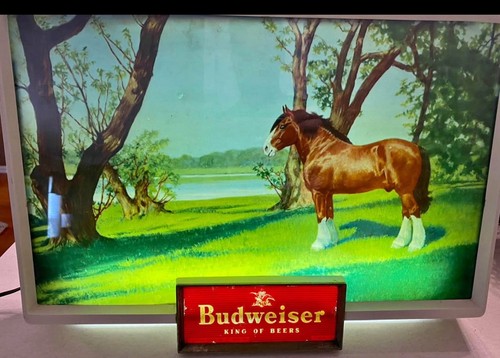 Vintage 1950er budweiser bier - 1950er,
